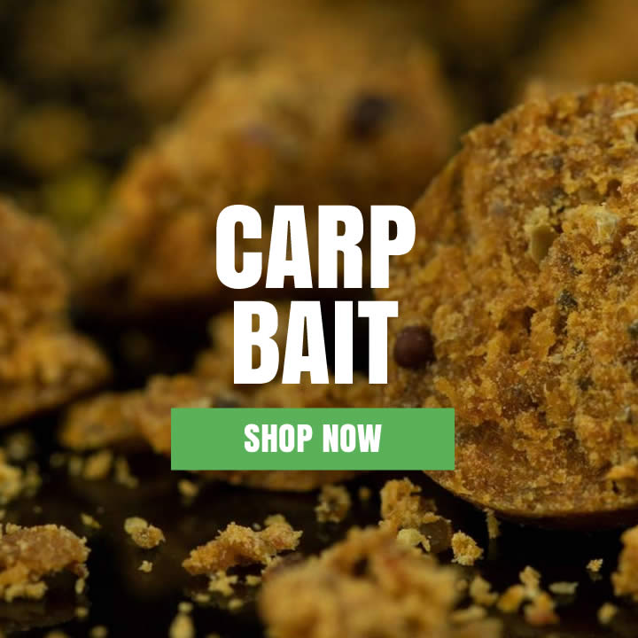 Bait