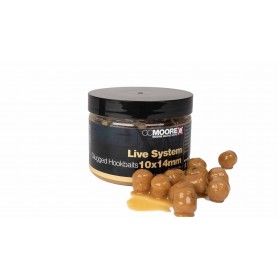 CC Moore Live System Glugged Hookbaits